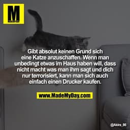 Gibt absolut keinen Grund sich eine Katze anzuschaffen. Wenn man unbedingt etwas im Haus haben will, dass nicht macht wa