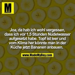 Joa, da hab ich wohl vergessen, dass ich vor 1,5 Stunden Nudelwasser aufgesetzt habe. Topf ist leer und vom Klima her kö