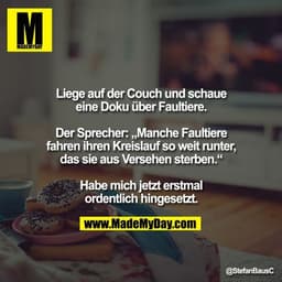 Liege auf der Couch und schaue eine Doku über Faultiere.

Der Sprecher: „Manche Faultiere fahren ihren Kreislauf so weit