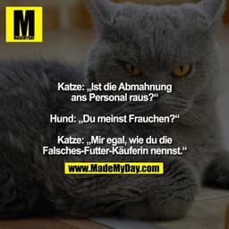 Katze: „Ist die Abmahnung ans Personal raus?“ 

Hund: „Du meinst Frauchen?“ 

Katze: „Mir egal, wie du die Falsches-Futt