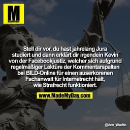 Stell dir vor, du hast jahrelang Jura studiert und dann erklärt dir irgendein Kevin von der Facebookjustiz, welcher sich