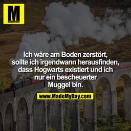 Ich wäre am Boden zerstört, sollte ich irgendwann herausfinden, dass Hogwarts existiert und ich nur ein bescheuerter Mug