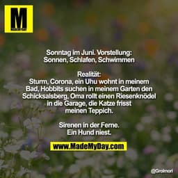 Sonntag im Juni. Vorstellung:
Sonnen, Schlafen, Schwimmen

Realität:
Sturm, Corona, ein Uhu wohnt in meinem Bad, Hobbits