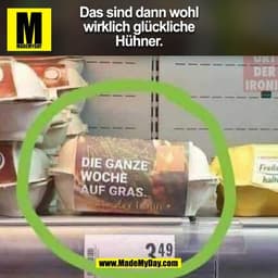 Spruch