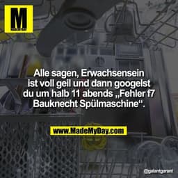 Alle sagen, Erwachsensein ist voll geil und dann googelst du um halb 11 abends „Fehler f7 Bauknecht Spülmaschine“.