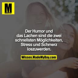 Der Humor und das Lachen sind die zwei schnellsten Möglichkeiten, Stress und Schmerz loszuwerden.