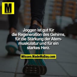 Joggen ist gut für die Regeneration des Gehirns, für die Stärkung der Atemmuskulatur und für ein starkes Herz.