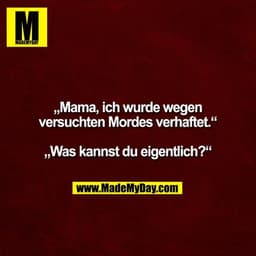 „Mama, ich wurde wegen versuchten Mordes verhaftet.“ 

„Was kannst du eigentlich?“