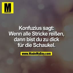 Konfuzius sagt: Wenn alle Stricke reißen, dann bist du zu dick für die Schaukel.