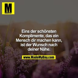 Eins der schönsten Komplimente, das ein Mensch dir machen kann, ist der Wunsch nach deiner Nähe.