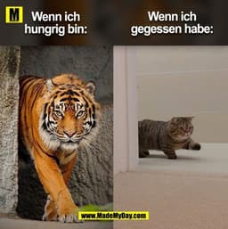 Wenn ich
Wenn ich
hungrig bin:
gegessen habe: