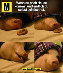 Wenn du nach Hause
kommst und endlich du
selbst sein kannst.
