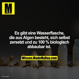 Es gibt eine Wasserflasche, die aus Algen besteht, sich selbst zersetzt und zu 100 % biologisch abbaubar ist.