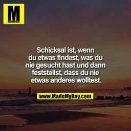 Schicksal ist, wenn du etwas findest, was du nie gesucht hast und dann feststellst, dass du nie etwas anderes wolltest.