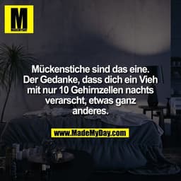 Mückenstiche sind das eine. Der Gedanke, dass dich ein Vieh mit nur 10 Gehirnzellen nachts verarscht, etwas ganz anderes