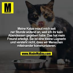 Meine Katze miaut mich seit ner Stunde wütend an, weil ich ihr kein Abendessen gegeben habe. Das hat mein Freund erledig
