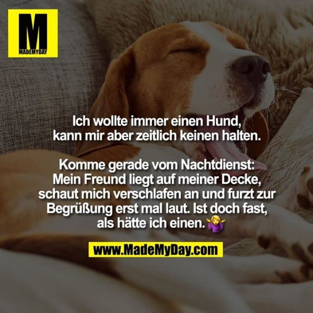 Ich wollte immer einen Hund, kann mir aber zeitlich keinen halten. Komme gerade vom Nachtdienst: Mein Freund liegt auf meiner Decke, schaut mich verschlafen an und furzt zur Begrüßung erst mal laut. Ist doch fast, als hätte ich einen. � - Inspiration, Zitate & Sprüche | MadeMyDay | Jetzt entdecken & teilen Ich wollte immer einen Hund, kann mir aber zeitlich keinen halten. Komme gerade vom Nachtdienst: Mein Freund liegt auf meiner Decke, schaut mich verschlafen an und furzt zur Begrüßung erst mal laut. Ist doch fast, als hätte ich einen. � - Inspirierendes Zitat mit Bild
