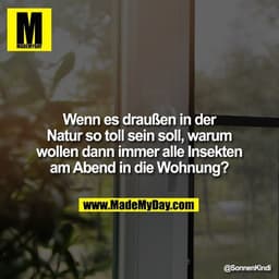 Wenn es draußen in der Natur so toll sein soll, warum wollen dann immer alle Insekten am Abend in die Wohnung?