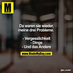 Da waren sie wieder, meine drei Probleme. 

- Vergesslichkeit
- Dings
- Und das Andere