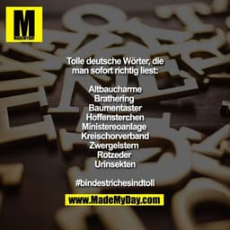 Tolle deutsche Wörter, die
man sofort richtig liest:

Altbaucharme
Brathering 
Baumentaster
Hoffensterchen
Ministereoanl