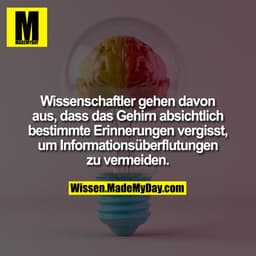 Wissenschaftler gehen davon aus, dass das Gehirn absichtlich bestimmte Erinnerungen vergisst, um Informationsüberflutung