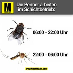 Die Penner arbeiten
im Schichtbetrieb:
06:00 - 22:00 Uhr
22:00 - 06:00 Uhr