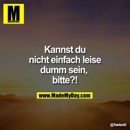 Kannst du nicht einfach leise dumm sein, bitte?!