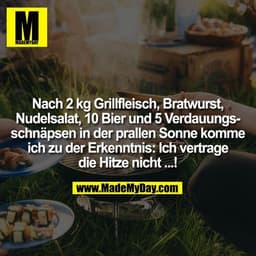 Nach 2 kg Grillfleisch, Bratwurst, Nudelsalat, 10 Bier und 5 Verdauungsschnäpsen in der prallen Sonne komme ich zu der E