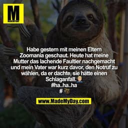 Habe gestern mit meinen Eltern Zoomania geschaut. Heute hat meine Mutter das lachende Faultier nachgemacht und mein Vate