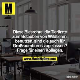 Diese Blasrohre, die Tierärzte zum Betäuben von Wildtieren benutzen, sind die auch für Großraumbüros zugelassen? Frage f