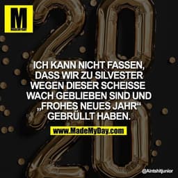 ICH KANN NICHT FASSEN,
DASS WIR ZU SILVESTER
WEGEN DIESER SCHEISSE 
WACH GEBLIEBEN SIND UND
„FROHES NEUES JAHR“
GEBRÜLLT