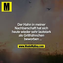 Der Hahn in meiner Nachbarschaft hat sich heute wieder sehr lautstark als Grillhähnchen beworben ...