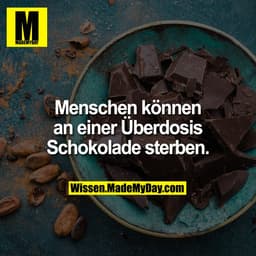 Menschen können an einer Überdosis Schokolade sterben.
