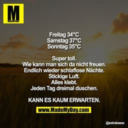 Freitag 34°C
Samstag 37°C
Sonntag 35°C

Super toll.
Wie kann man sich da nicht freuen.
Endlich wieder schlaflose Nächte.