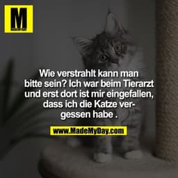 Wie verstrahlt kann man
bitte sein? Ich war beim Tierarzt
und erst dort ist mir eingefallen,
dass ich die Katze vergesse