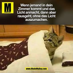 Wenn jemand in dein
Zimmer kommt und das
Licht anmacht, dann aber
rausgeht, ohne das Licht
auszumachen.