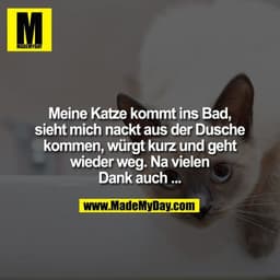 Meine Katze kommt ins Bad, sieht mich nackt aus der Dusche kommen, würgt kurz und geht wieder weg. Na vielen Dank auch .