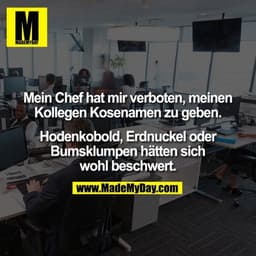 Mein Chef hat mir verboten, meinen Kollegen Kosenamen zu geben. Hodenkobold, Erdnuckel oder Bumsklumpen hätten sich wohl
