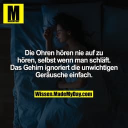 Die Ohren hören nie auf zu hören, selbst wenn man schläft. Das Gehirn ignoriert die unwichtigen Geräusche einfach.