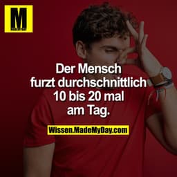 Der Mensch furzt durchschnittlich 10 bis 20 mal am Tag.