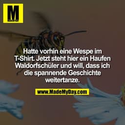 Hatte vorhin eine Wespe im T-Shirt. Jetzt steht hier ein Haufen Waldorfschüler und will, dass ich die spannende Geschich