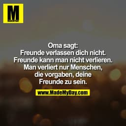 Oma sagt: Freunde verlassen dich nicht. Freunde kann man nicht verlieren. Man verliert nur Menschen, die vorgaben, deine
