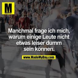 Manchmal frage ich mich, warum einige Leute nicht etwas leiser dumm sein können.