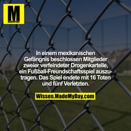 In einem mexikanischen Gefängnis beschlossen Mitglieder zweier verfeindeter Drogenkartelle, ein Fußball-Freundschaftsspi