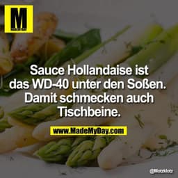 Sauce Hollandaise ist das WD-40 unter den Soßen. 
Damit schmecken auch Tischbeine.