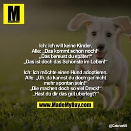 Ich: Ich will keine Kinder.
Alle: „Das kommt schon noch!“
„Das bereust du später!“
„Das ist doch das Schönste im Leben!“