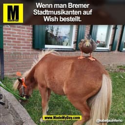Wenn man Bremer Stadtmusikanten auf Wish bestellt. @kabeljauInferno (BILD)