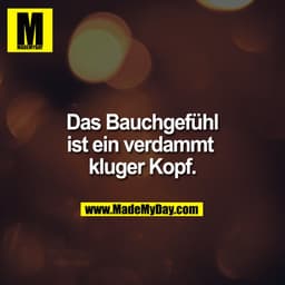 Das Bauchgefühl ist ein verdammt kluger Kopf.