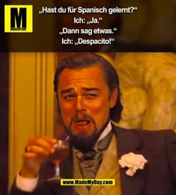 „Hast du für Spanisch gelernt?“

Ich: „Ja.“

„Dann sag etwas.“

Ich: „Despacito!“ (BILD)