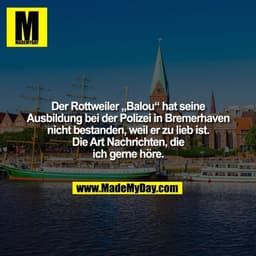 Der Rottweiler „Balou“ hat seine
Ausbildung bei der Polizei in Bremerhaven
nicht bestanden, weil er zu lieb ist.
Die Art
